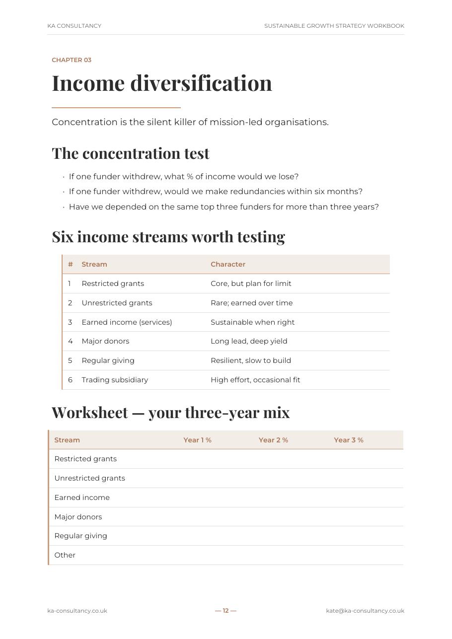 Preview page 2 of Sustainable Growth Strategy Workbook
